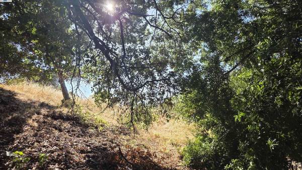 0 Barth Ave, Richmond, CA 94806