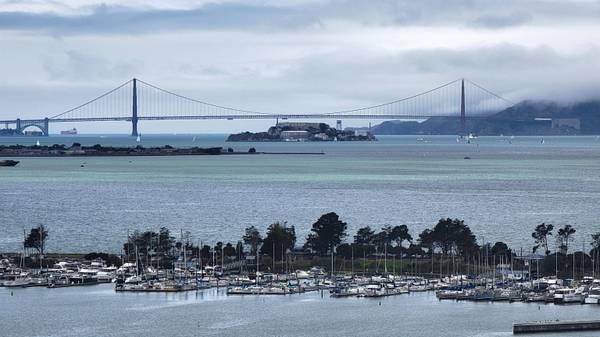 6363 Christie Ave #1915, Emeryville, CA 94608