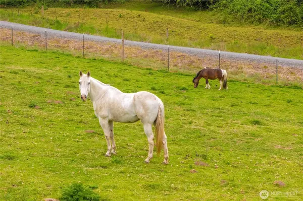 882 Independence RD, Rochester, WA 98579