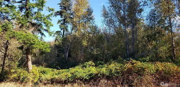 320 xx 105th AVE SE, Auburn, WA 98092