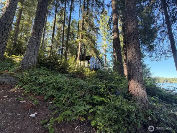 14 xx NE Tahuya Blacksmith RD, Tahuya, WA 98588