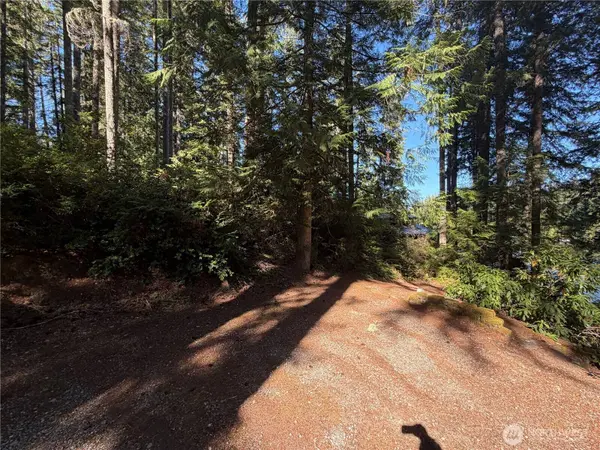 14 xx NE Tahuya Blacksmith RD, Tahuya, WA 98588
