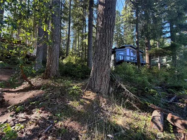 14 xx NE Tahuya Blacksmith RD, Tahuya, WA 98588