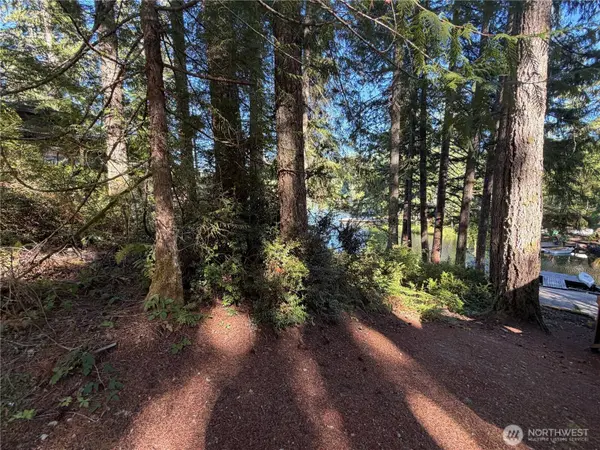 14 xx NE Tahuya Blacksmith RD, Tahuya, WA 98588
