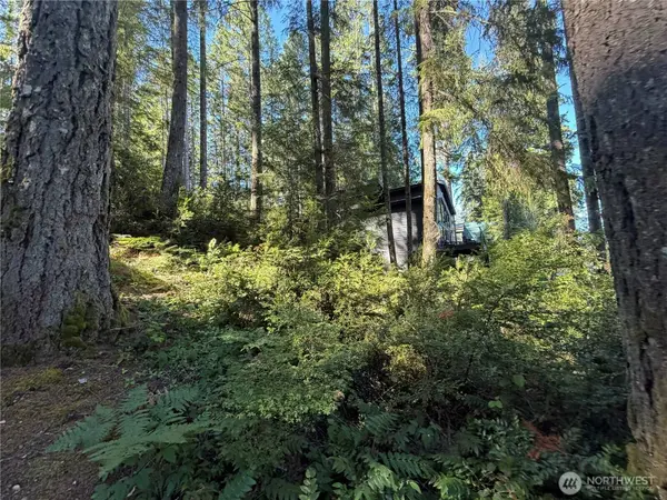 14 xx NE Tahuya Blacksmith RD, Tahuya, WA 98588