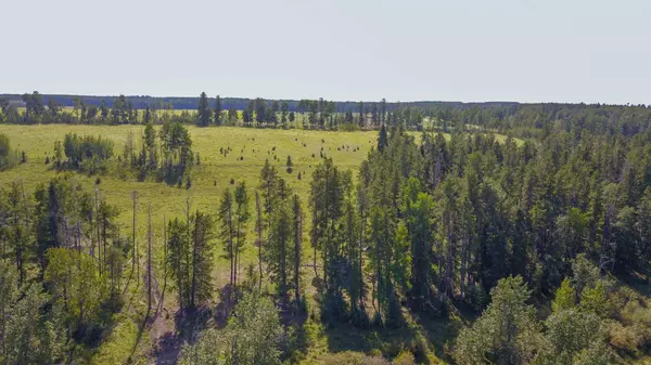 TBD Township Road 333, Rural Mountain View County, AB T0M1X0