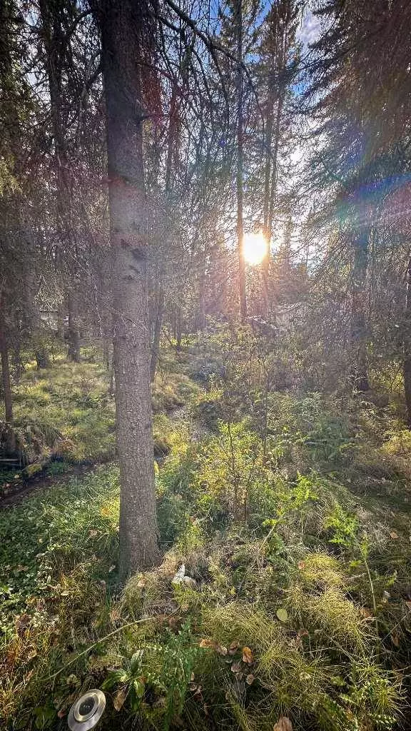 5227 Township Road 320 #22, Rural Mountain View County, AB T0M1X0