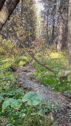 5227 Township Road 320 #22, Rural Mountain View County, AB T0M1X0