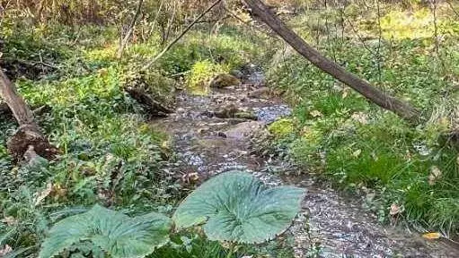 5227 Township Road 320 #22, Rural Mountain View County, AB T0M1X0