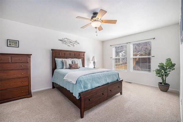 1811 Hogan CT, Castle Rock, CO 80109