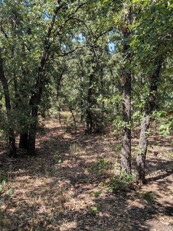 TBD County Road 101, Cisco, TX 76437