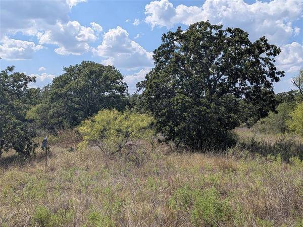 TBD County Road 101, Cisco, TX 76437