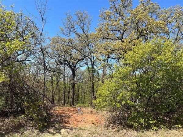 1000 Crazy Horse Trail, Burleson, TX 76028