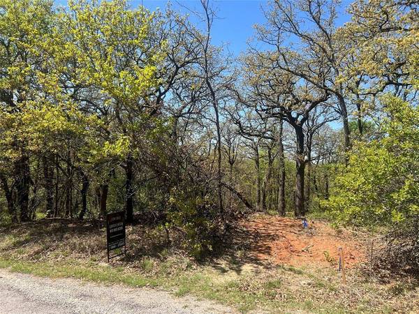 1000 Crazy Horse Trail, Burleson, TX 76028