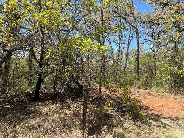 1000 Crazy Horse Trail, Burleson, TX 76028