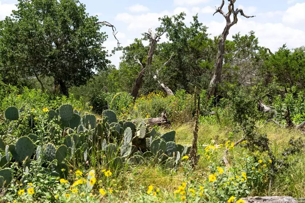 211 Spring Rd, Fredericksburg, TX 78624