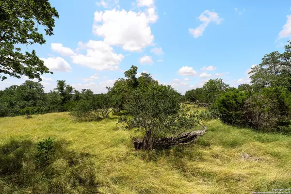 211 Spring Rd, Fredericksburg, TX 78624