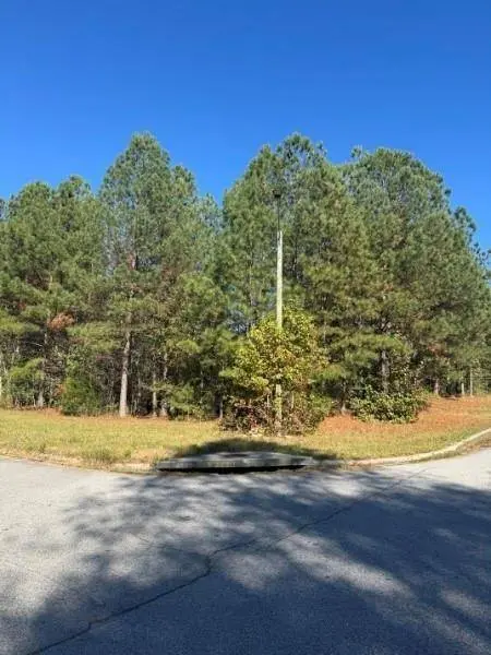 4020 Gold Springs PASS, Villa Rica, GA 30180