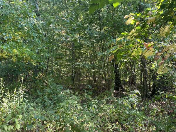 VL 60th Street, Hamilton, MI 49419