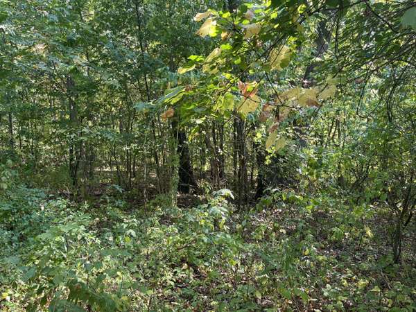 VL 60th Street, Hamilton, MI 49419