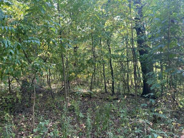 VL 60th Street, Hamilton, MI 49419