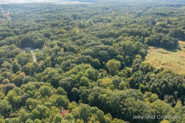 VL 60th Street, Hamilton, MI 49419