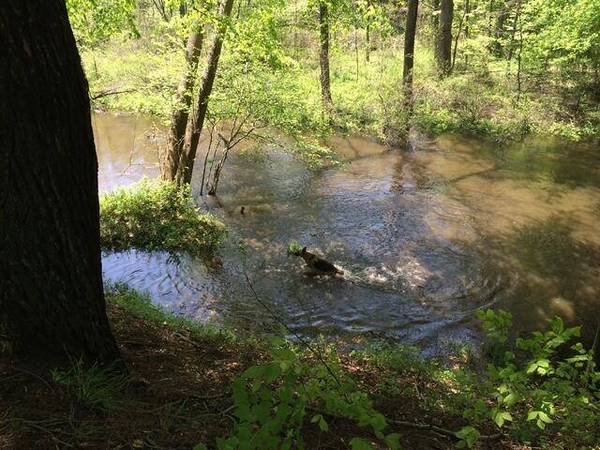 VL 105th Ave, South Haven, MI 49090