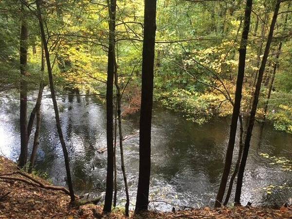 VL 105th Ave, South Haven, MI 49090