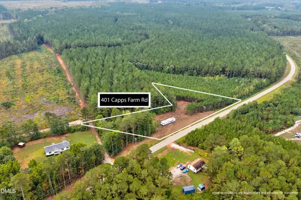 401 Capps Farm Road, Hollister, NC 27844