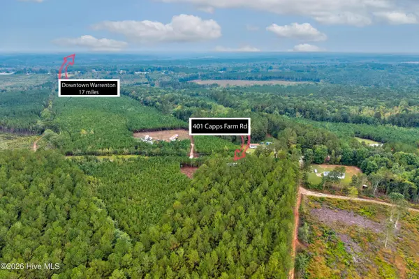 401 Capps Farm RD, Hollister, NC 27844