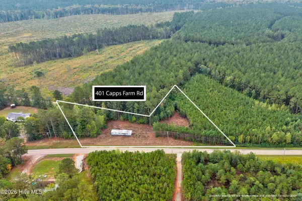 401 Capps Farm RD, Hollister, NC 27844