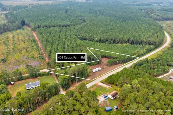 401 Capps Farm RD, Hollister, NC 27844
