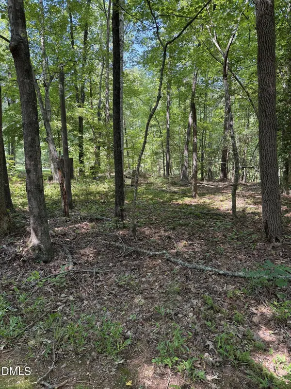153 Omaha DR, Louisburg, NC 27549