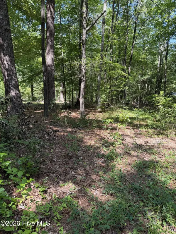 153 Omaha DR, Louisburg, NC 27549