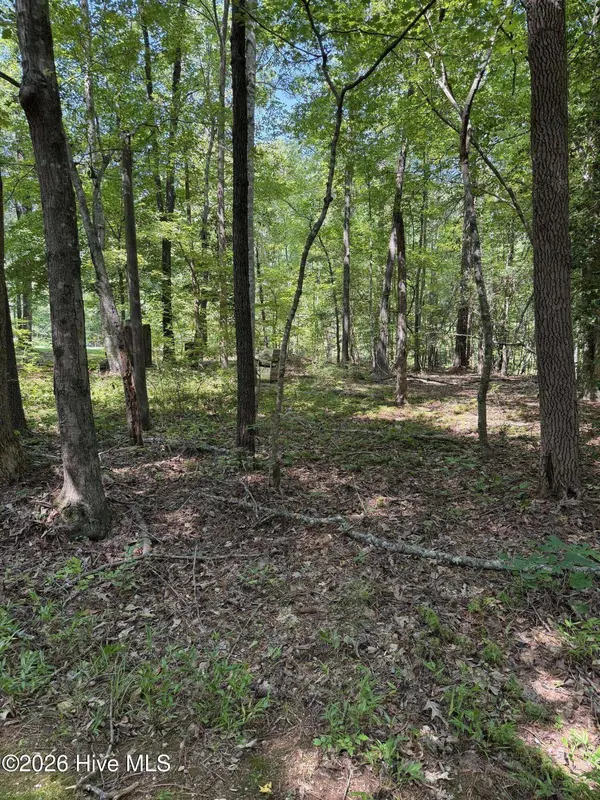 153 Omaha DR, Louisburg, NC 27549