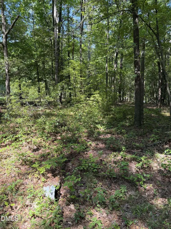 153 Omaha DR, Louisburg, NC 27549