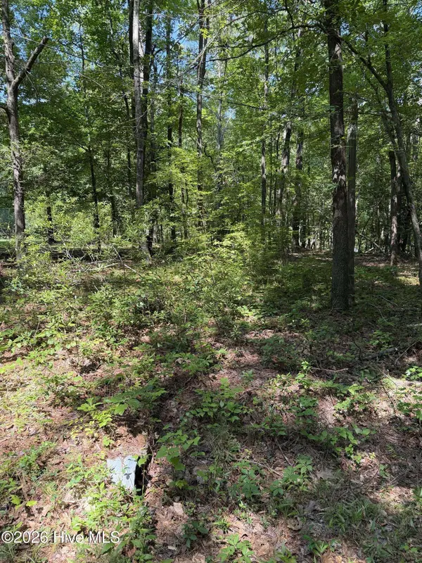 153 Omaha DR, Louisburg, NC 27549