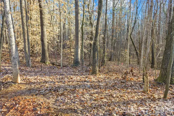 6872 Buttercup LN, Kannapolis, NC 28081