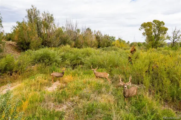 1054 S 1054 Interstate 25, Castle Rock, CO 80104