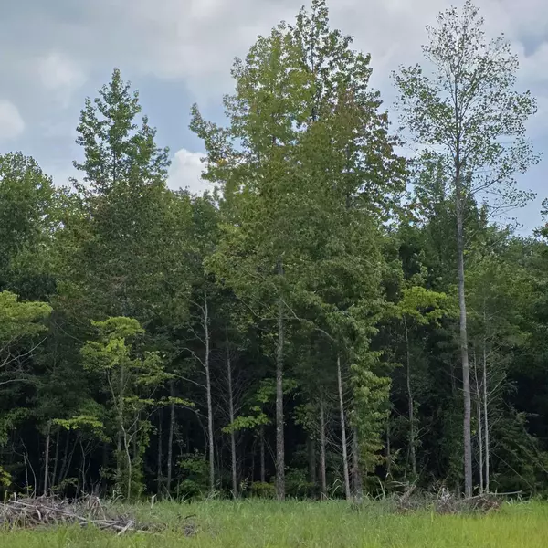 1117 Black Rock Rd, Clarksville, TN 37040