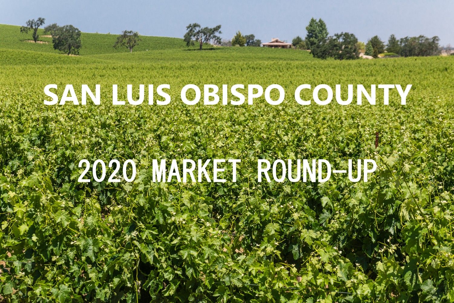 2020 San Luis Obispo County Market Round-Up