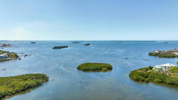 OSPREY CT, Palm Harbor, FL 34683