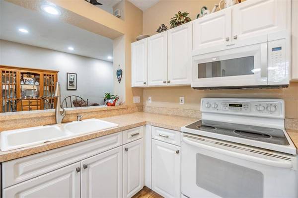 3205 AUDUBON CT, Tarpon Springs, FL 34688