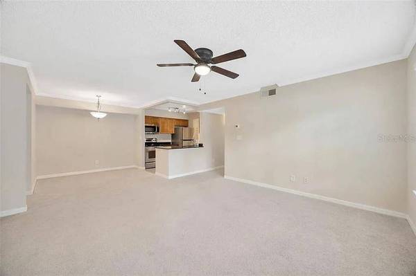 3274 HAVILAND CT #104, Palm Harbor, FL 34684