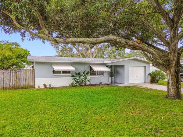 1119 JACKMAR RD, Dunedin, FL 34698