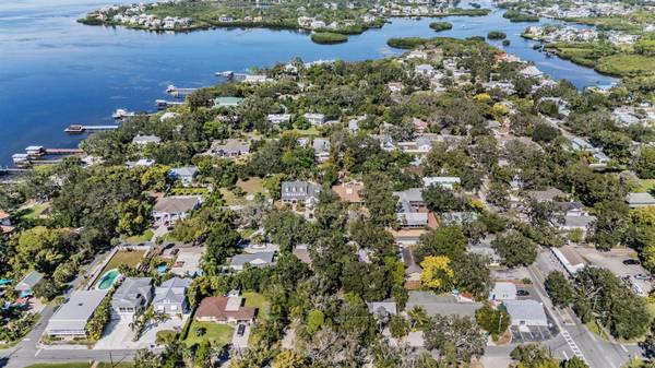 344 BAY ST, Palm Harbor, FL 34683