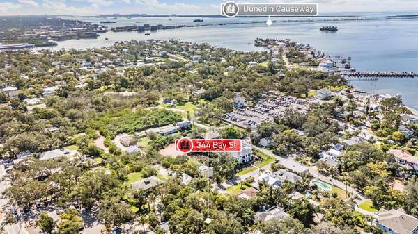 344 BAY ST, Palm Harbor, FL 34683