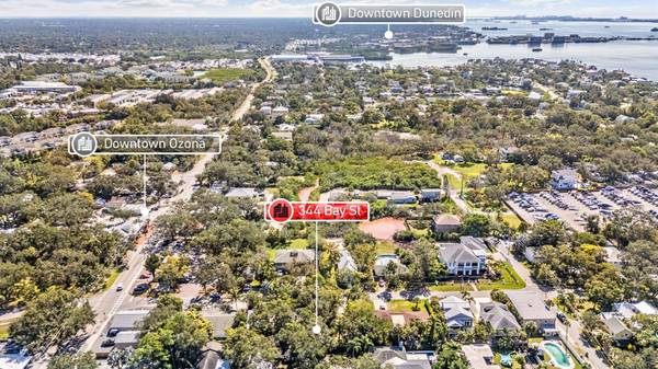 344 BAY ST, Palm Harbor, FL 34683