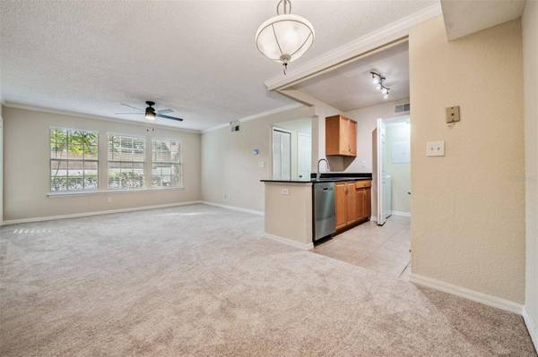 3274 HAVILAND CT #101, Palm Harbor, FL 34684