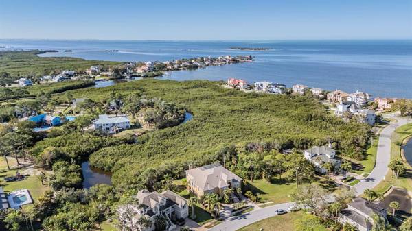 2101 N POINTE ALEXIS DR, Tarpon Springs, FL 34689